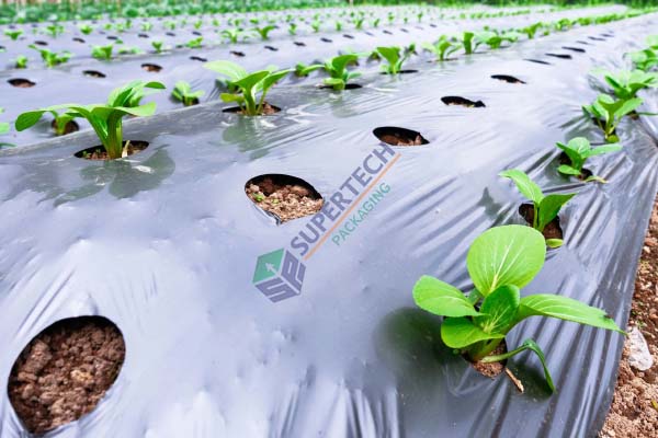 Silage Films & Mulch Films